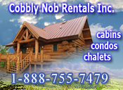 Pigeon Forge Cabin Rentals - Cobbly Nob